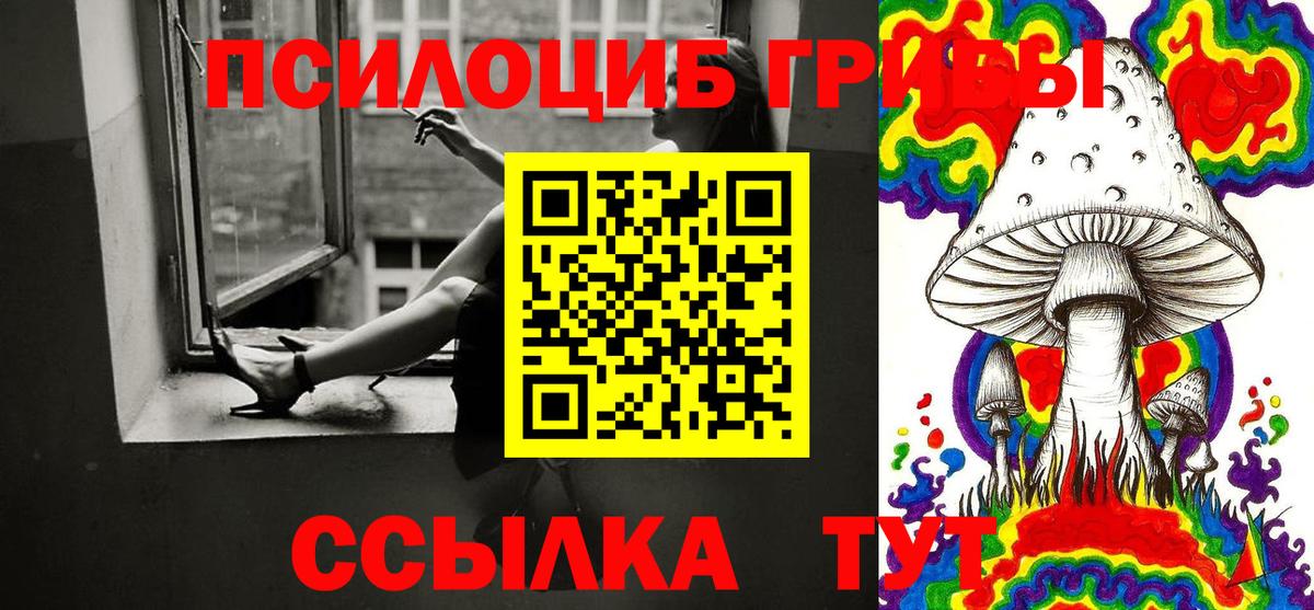 Галлюциногенные грибы прущие грибы Черкесск
