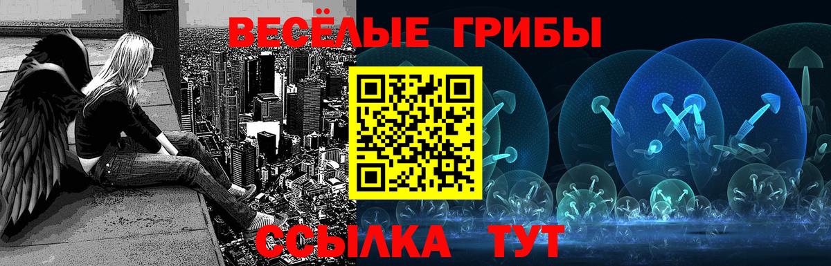 Галлюциногенные грибы Cubensis  Галлюциногенные грибы мухоморы  магазин  наркотиков  Вход с VPN  Черкесск 